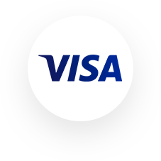 VISA Logo